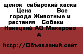 щенок  сибирский хаски › Цена ­ 12 000 - Все города Животные и растения » Собаки   . Ненецкий АО,Макарово д.